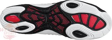 dan gable ultimate 3