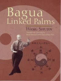 Bagua Linked Palms