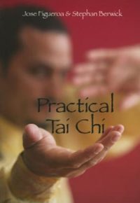 Practical Tai Chi