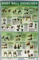 Body ball Upper/Lower Body Poster