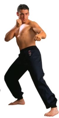 Warrior Black Kung Fu Pants