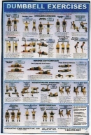 Dumbbell Shoulders and Arms Poster