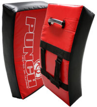 Punch Home Gym Shield