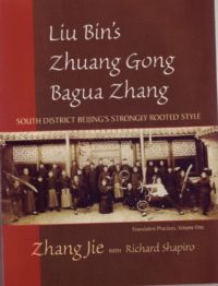 Liu Bin's Zhuang Gong Bagua Zhang