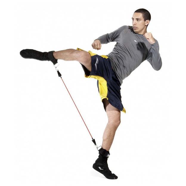 Everlast Lowr Body Power Straps Giri Martial Arts Supplies