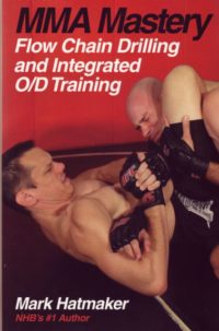 MMA Mastery