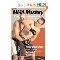 MMA Mastery - Strike Combinations