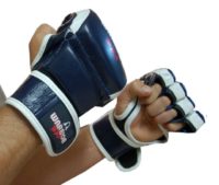 Warrior MMA Gloves