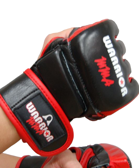 Warrior MMA Gloves Giri Martial Arts Supplies