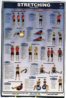 Stretching Upper Body Poster