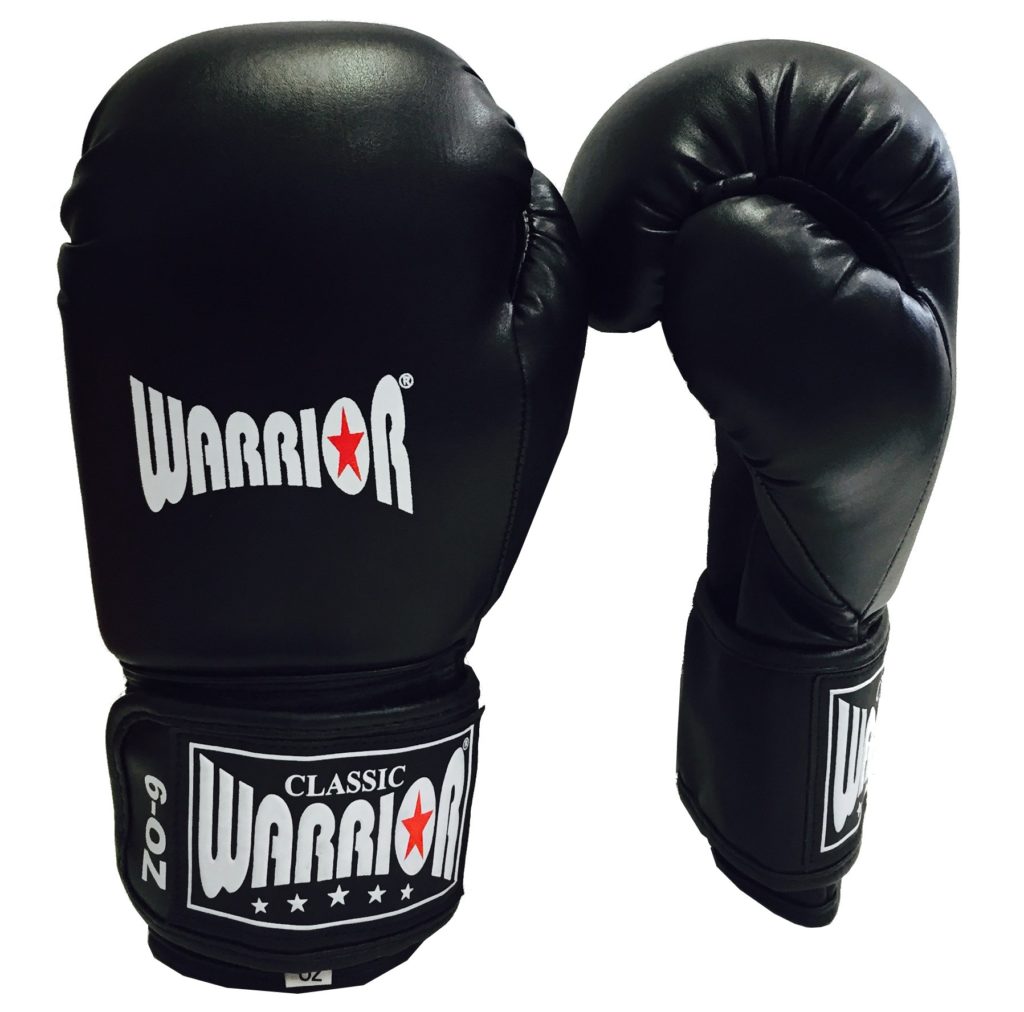 BG10 Boxing Glove 6oz Giri Martial Arts Supplies